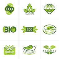 Set of ecology icons with green leaves in vector N3
