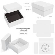 Package Mockup Box N2