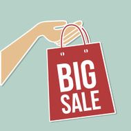big sale bag N3