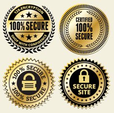 Gold and black "100 Secure" secure website sticker badge