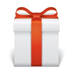 Gift Box N51