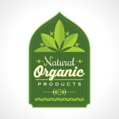 Set of ecology icons with green leaves in vector N2