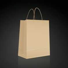 kraft paper bag N10