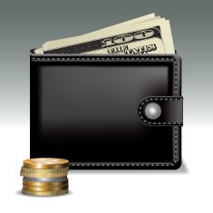 Wallet with dollars