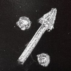 up-percent sign N2