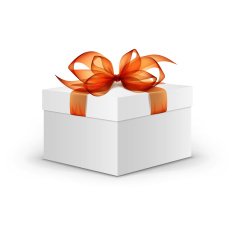 White Box with Orange Ribbon and Bow Isolated on Background