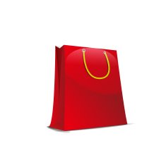 Shopping Bag N210