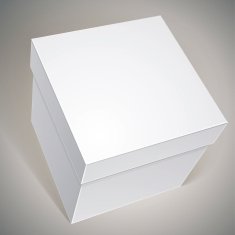 Vector blank box template for your package design N6