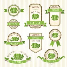 Lettuce labels