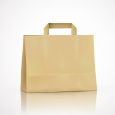 blank kraft shopping bag N6