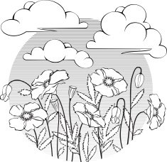 Poppies Sky Clouds