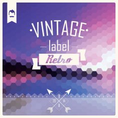 Vintage retro hipster label typography geometric design elements vector illustration N8