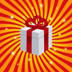Gift Box N56