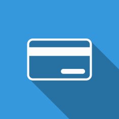 Credit Card Icon N93