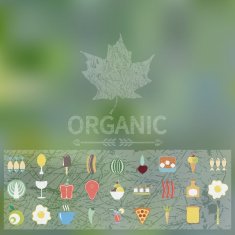 Menu of organic food Icons Web interface and mobile app N5
