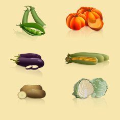 pieces of vegetables N2
