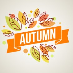 Autumn background with leaves N42