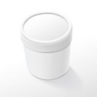 blank food plastic container N3