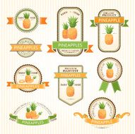 Pineapple labels collection N2