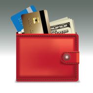 wallet with money N2