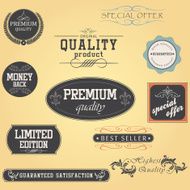 Premium Quality and Guarantee Labels Vector