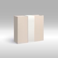 Vertical box with ribbon N2