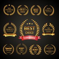 Premium laurel wreath set