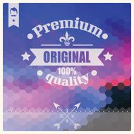 Vintage retro hipster label typography geometric design elements vector illustration N13