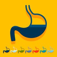 Flat design stomach N15