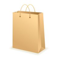 Paper Bag N29