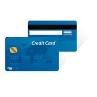 Vector credit cards N6