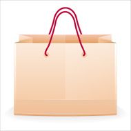 Paper Shopping Bag N13