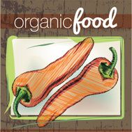Organic Food illustration N8