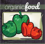 Organic Food illustration N10