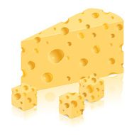 piece of cheese vector illustration N3