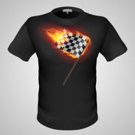 Male t-shirt with print N25