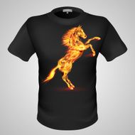 Male t-shirt with print N26