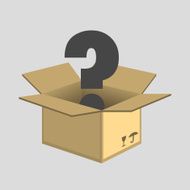 Cardboard Box N13