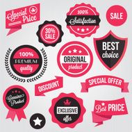 Vector Badges Stickers and Labels Set