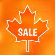 Autumn Sale N42