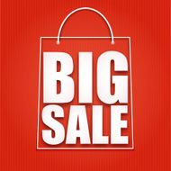Big Sale poster Vector illustration N5