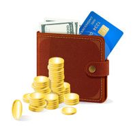 Purse with money N2