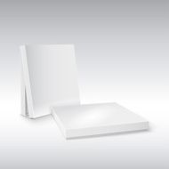 Box for pizza on white background Ready your design