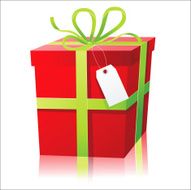Present Box N4