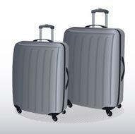Gray Suitcases N2