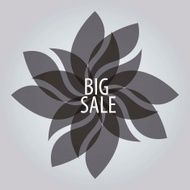 Sale Labels N48