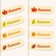 Autumn Sale N47