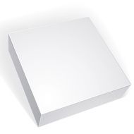Package white box design isolated on background template N8