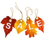 Autumnal discount Vector fall leaf isolated on white background