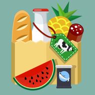 Shopping Bag With Food N2